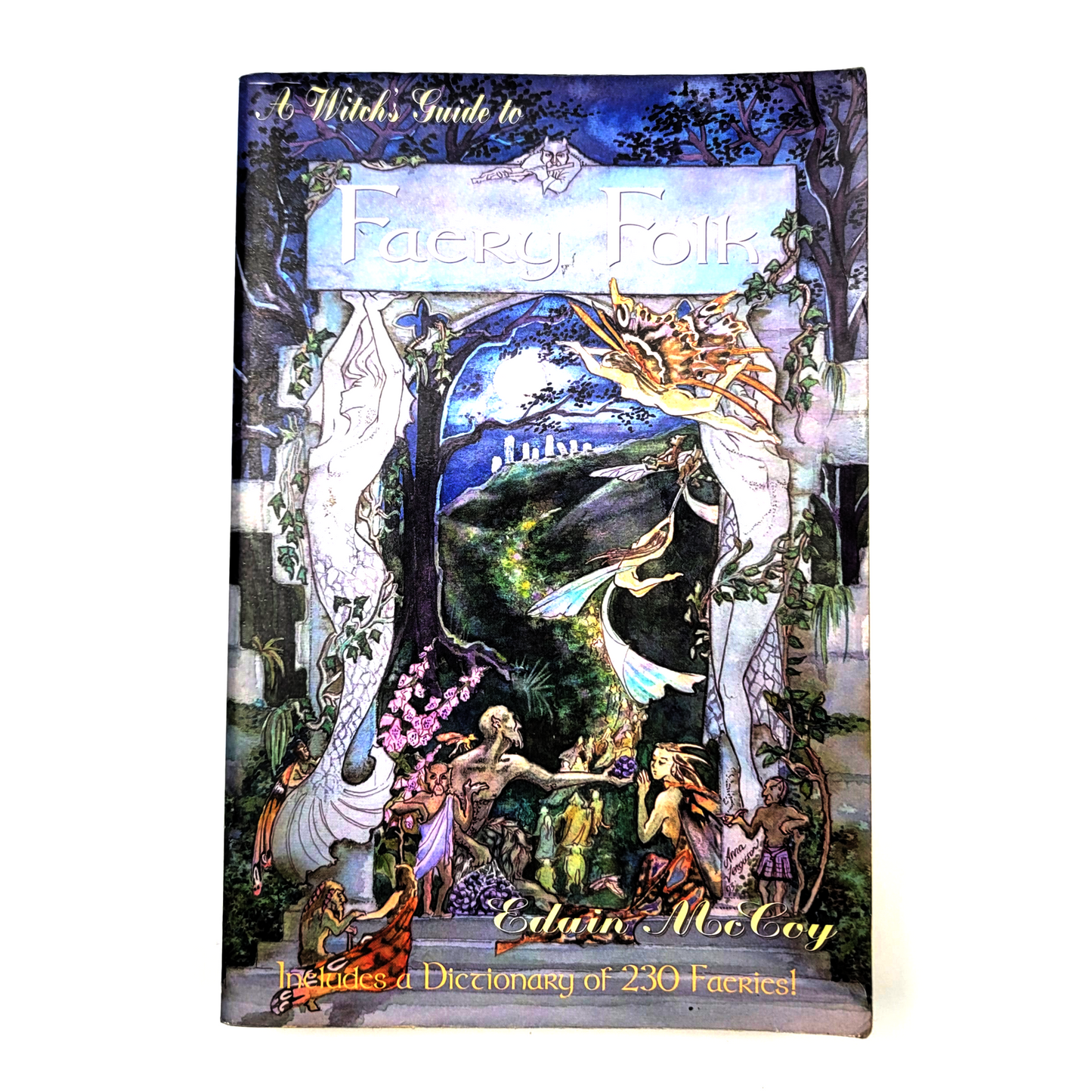 A Witch's Guide to Faery Folk by Edain McCoy