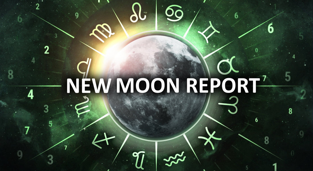 New Moon Report 1/29/25