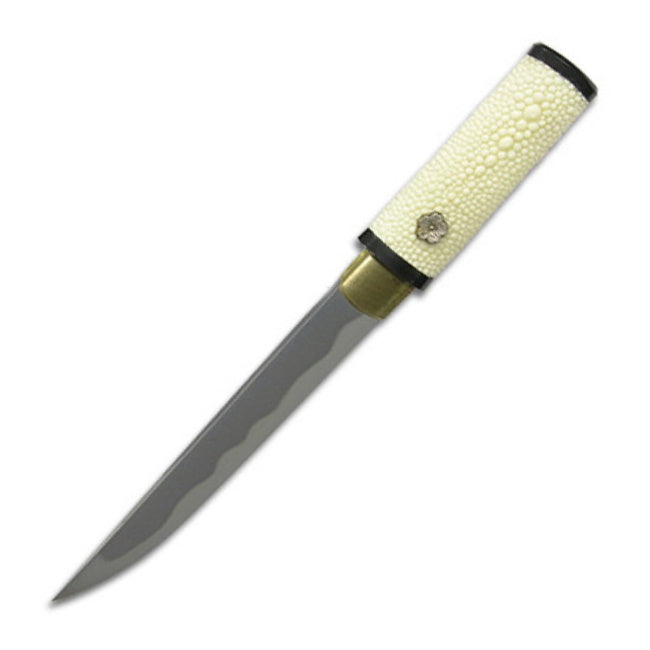 Paul Chen Cas Hanwei Practical Tanto