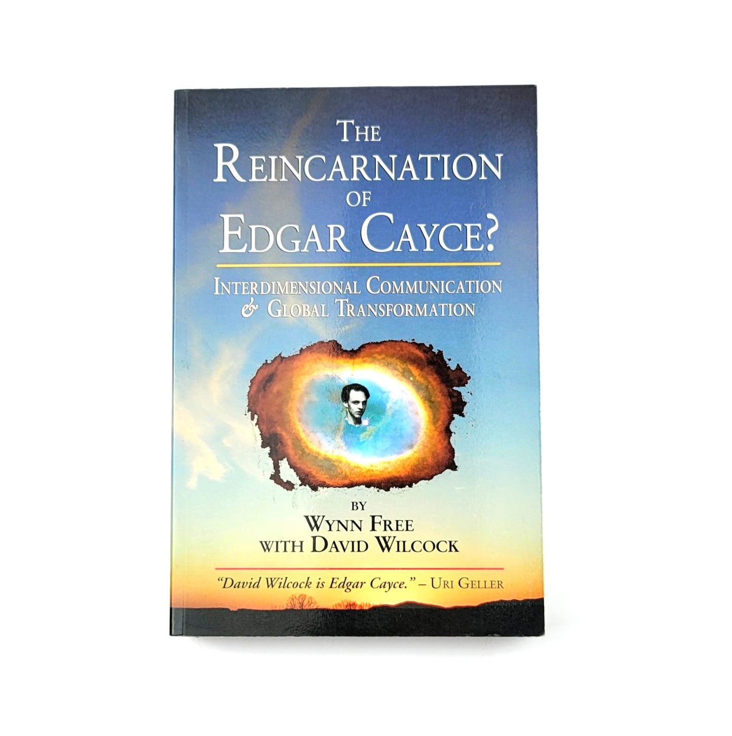 The Reincarnation of Edgar Cayce?: Interdimensional Communication and Global Transformation by Wynn Free