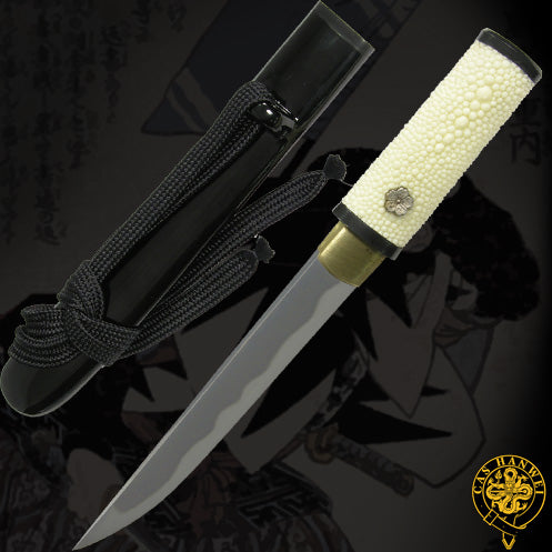 Paul Chen Cas Hanwei Practical Tanto