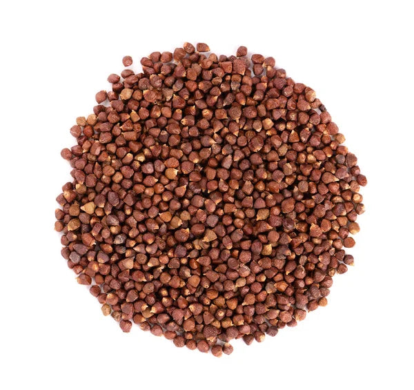 Grains of paradise (Aframomum melegueta) Dried